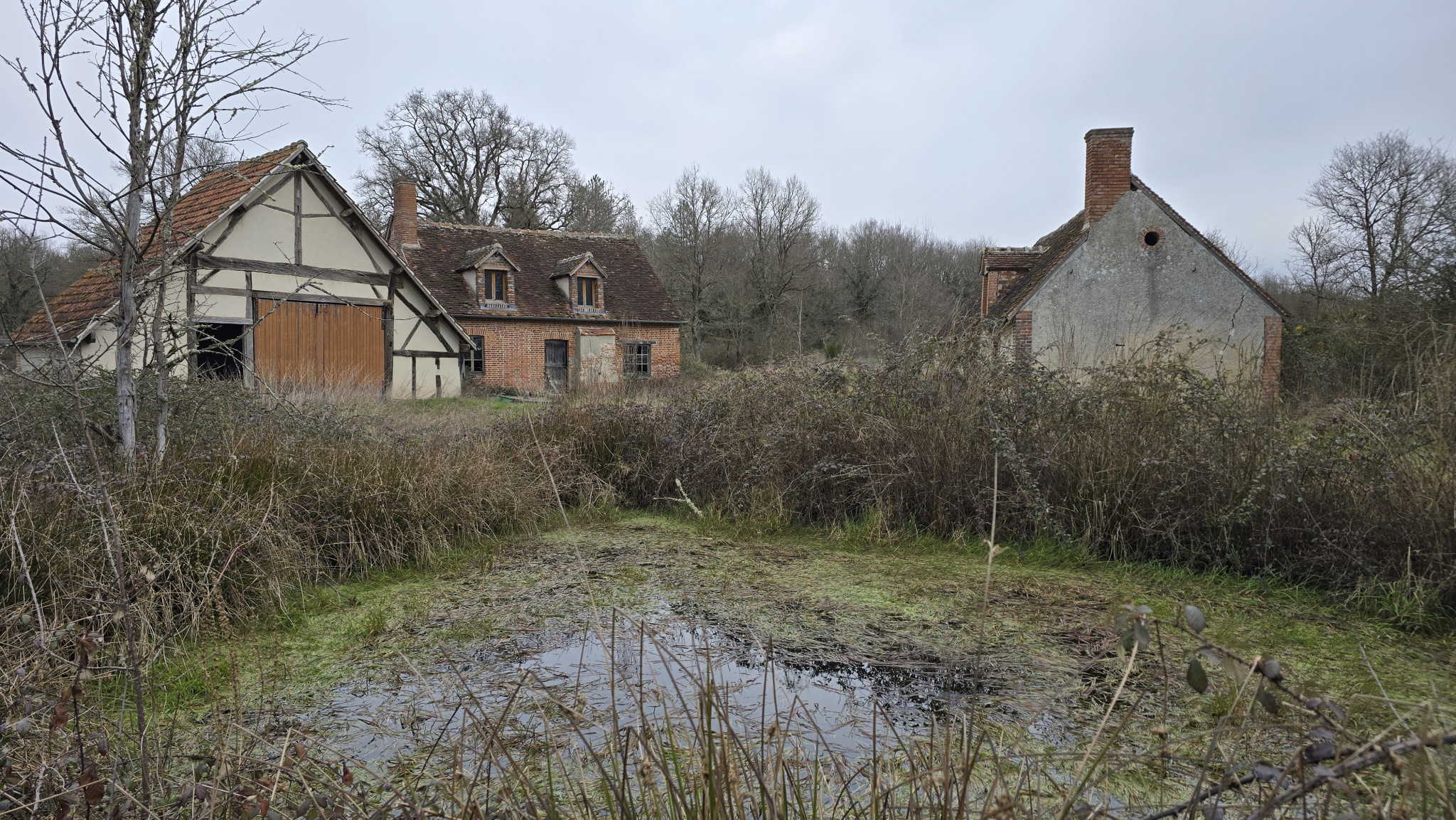 Agence immobilière de SAS PROPRIÉTÉS DE SOLOGNE