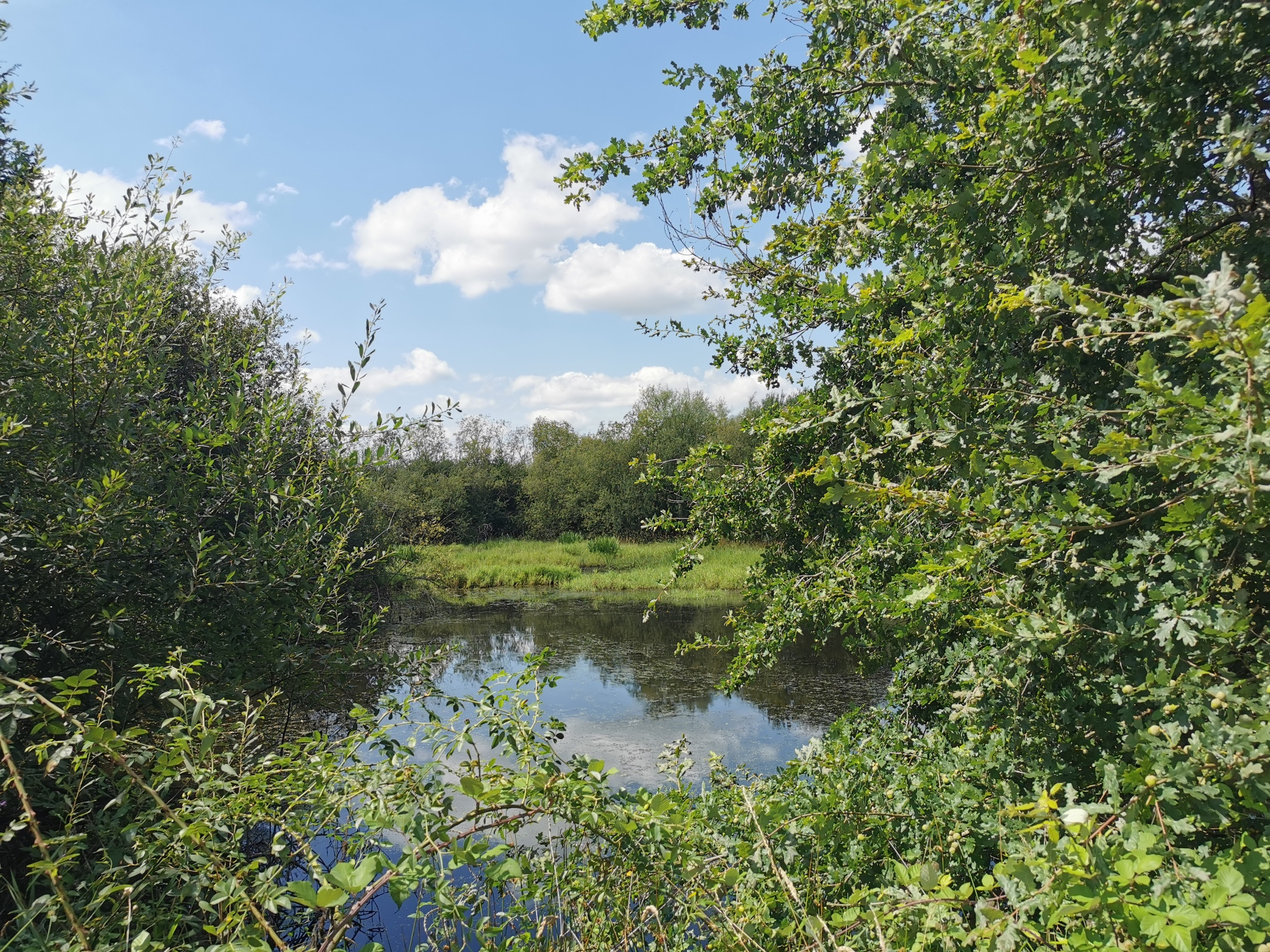 Agence immobilière de SAS PROPRIÉTÉS DE SOLOGNE