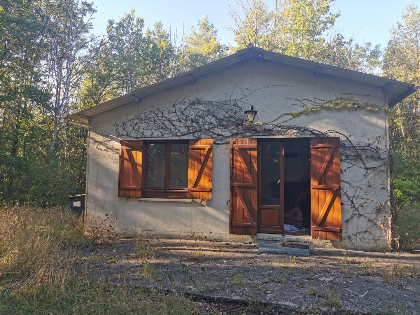 property